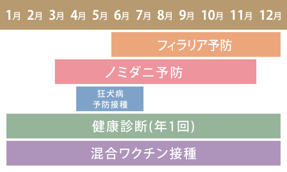 ワンちゃん用年間スケジュール